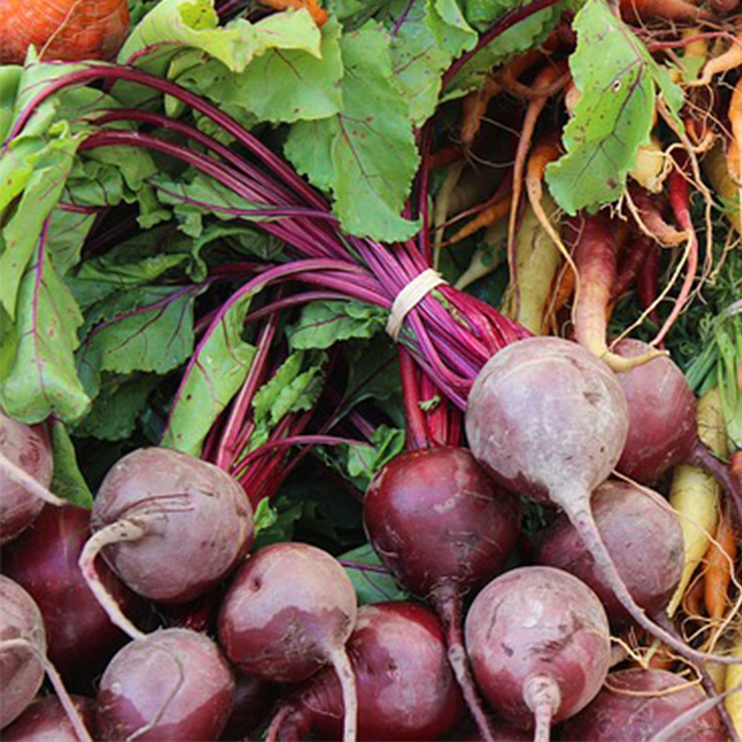 Beetroot leaves dolmades Healthy Bread
